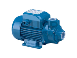 PEDROLLO Pumps with Peripheral Impeller - PK Series