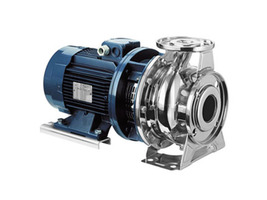 Ebara Stainless Steel End Suction Centrifugal Pump